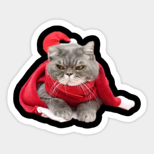 Christmas Cat Sticker